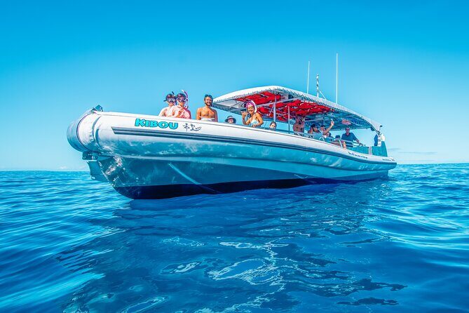 Kealakekua Bay Snorkel & Dolphin Safari In Kona Big Island (4hrs) - BBQ Lunch Onboard: Simple Food, Actually Useful for a 4-Hour Trip