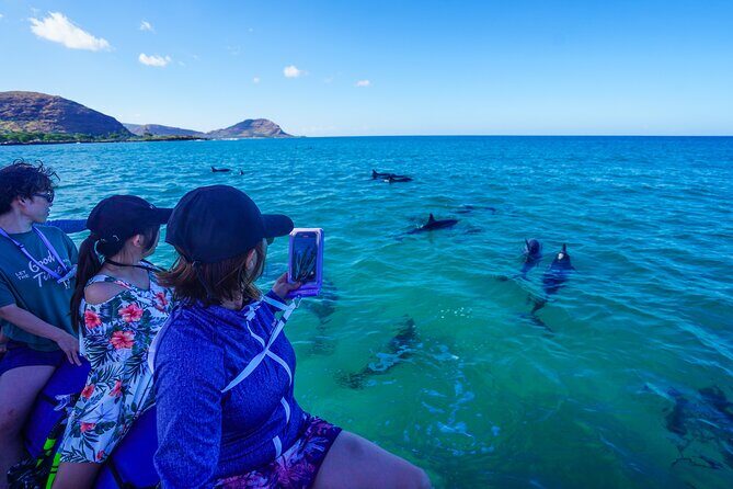 Kealakekua Bay Snorkel & Dolphin Safari In Kona Big Island (4hrs) - Logistics That Actually Matter: Meet-Up, Time, and Gear Prep