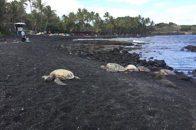 Kilauea Summit to Shore from Kona: Small Group - Should you book this Kona to Kilauea summit-and-shore tour?