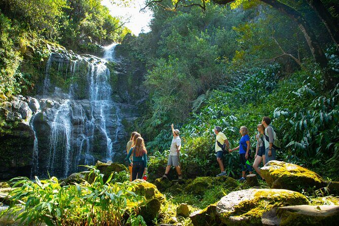 Kohala Waterfalls Small Group Adventure Tour - Stop 1 at Hawaii Forest & Trail: Quick Check-In and Restrooms