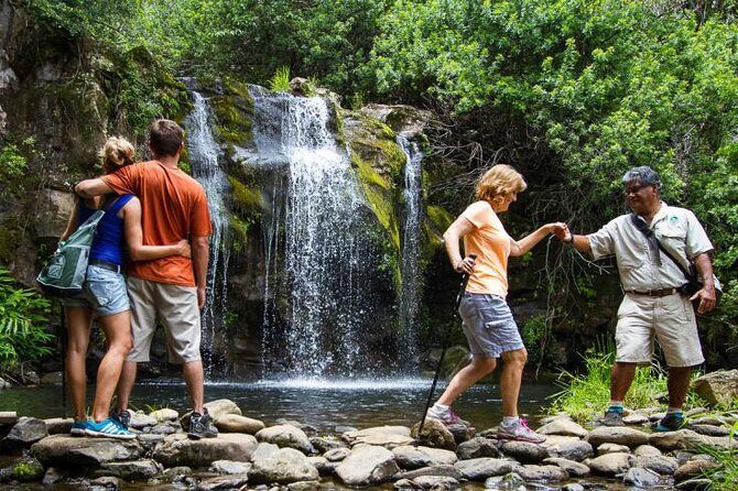 Kohala Waterfalls Small Group Adventure Tour - Kohala Zipline Retail Store Break: A Small Stop That Helps the Day Work