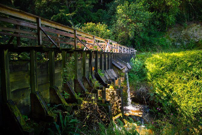 Kohala Waterfalls Small Group Adventure Tour - Lunch at Mokulanikila: Picnic Views That Actually Feel Like Part of the Day