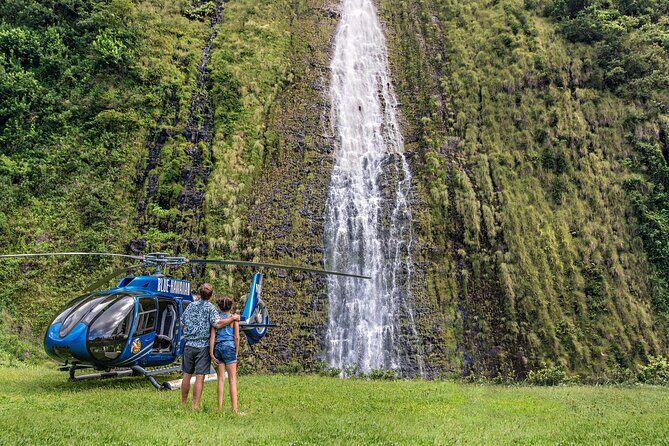 Kohala Waterfalls with Exclusive Landing Helicopter Tour - The Valley of the Kings: cliffs, depth, and Kamehameha’s childhood home