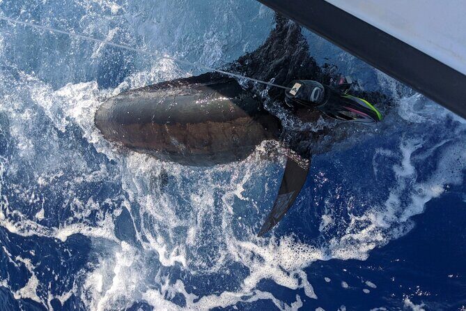 Kona - 5 Hours Private Fishing Charter in Kailua-Kona - Catching the right fish is only half the story in Kona