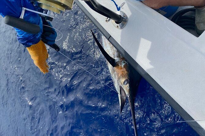 Kona - 5 Hours Private Fishing Charter in Kailua-Kona - Price and value: is $895 per group a smart buy?