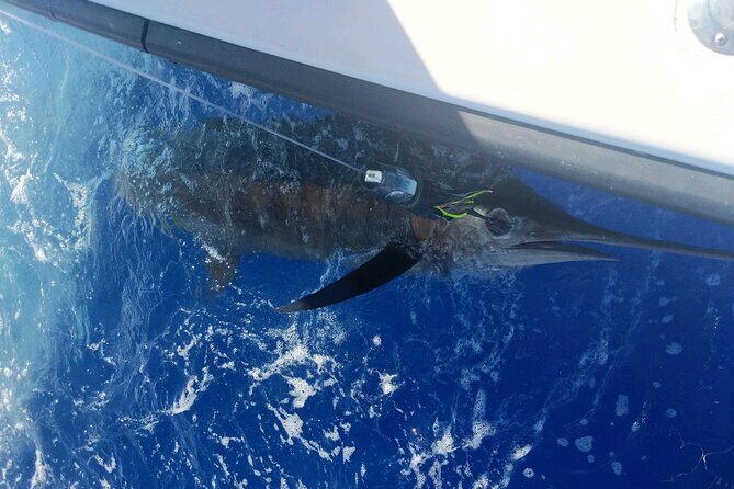 Kona - 5 Hours Private Fishing Charter in Kailua-Kona - Who should book this Kona private marlin charter