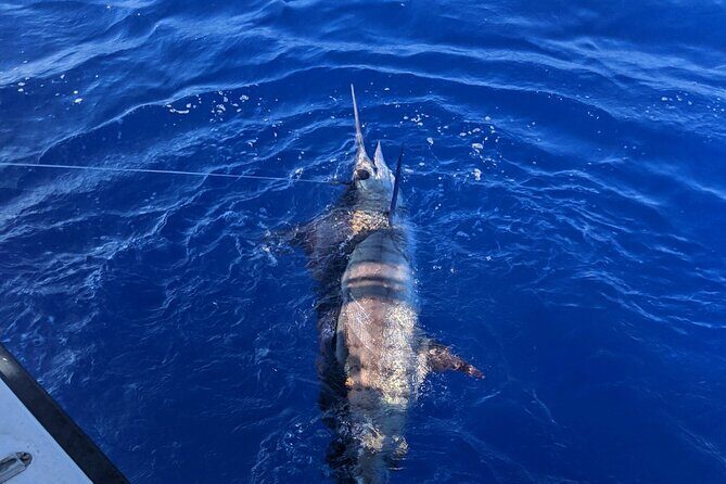 Kona - 5 Hours Private Fishing Charter in Kailua-Kona - What a typical 5-hour Kona charter feels like on the water