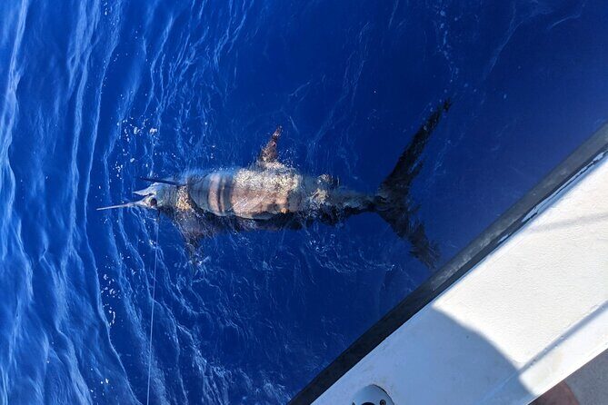 Kona - 6 Hour Private Fishing Charter Kona, Hawaii - Seasickness and Comfort: Small Prep That Makes a Big Difference