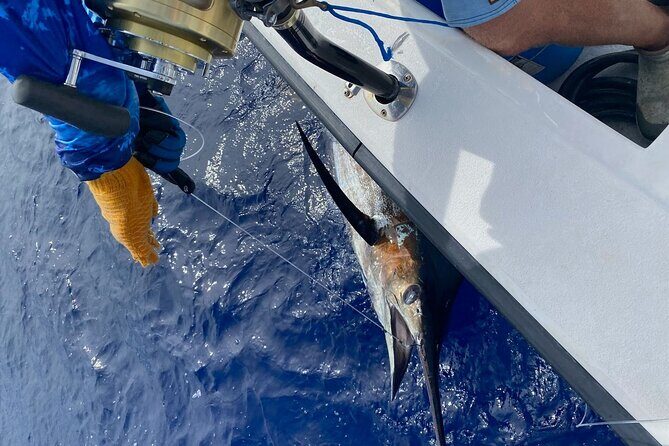Kona - 8 Hour Private Fishing Charter in Kailua-Kona, Hawaii - Fitness and Comfort: The One Thing to Check Before You Go
