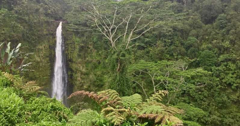 Kona: Big Island Big Volcano Adventure - Saddle Road on the way back: Mauna Kea and Mauna Loa at different elevations