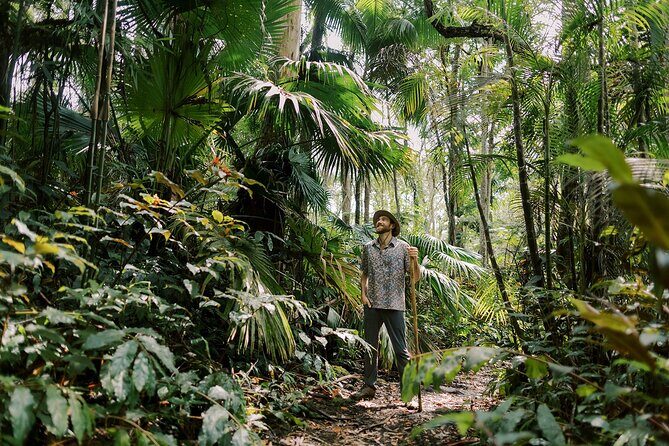 Kona Cloud Forest Sanctuary Montane Jungle Tour (2.5 hrs) - Wildlife Spotting: It’s Not a Safari, but Look Up