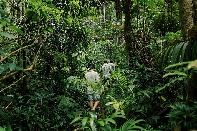 Kona Cloud Forest Sanctuary Montane Jungle Tour (2.5 hrs) - Who This Tour Is Best For (and Who Might Skip It)