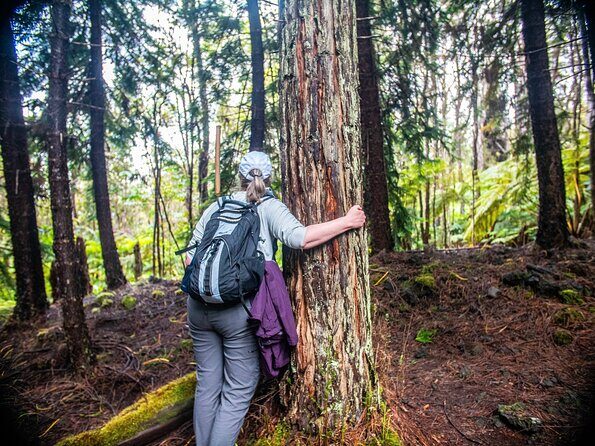 Kona Cloud Forest Sanctuary Pantropical Tour (1.5 hrs) - Key Points Before You Go