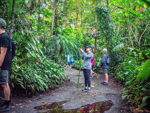 Kona Cloud Forest Sanctuary Pantropical Tour (1.5 hrs) - Price and What Your $110 Actually Buys