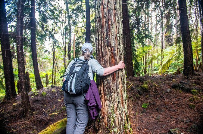 Kona Cloud Forest Sanctuary Pantropical Tour (1.5 hrs) - Who This Tour Fits Best (And Who Should Rethink It)
