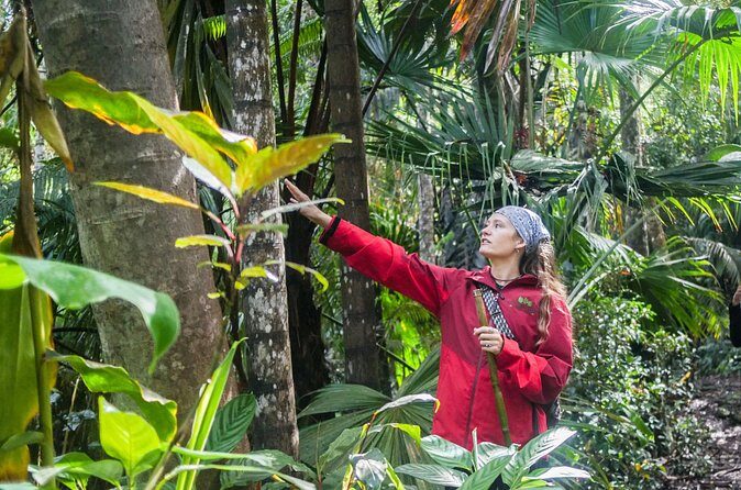 Kona Cloud Forest Sanctuary Pantropical Tour (1.5 hrs) - What’s Included vs. Not Included on the Trail