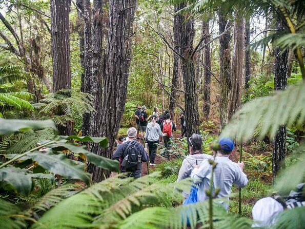 Kona Cloud Forest Sanctuary Pantropical Tour (1.5 hrs) - Meeting Point on Hao St: Timing and Getting Set