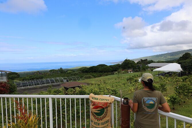 Kona Coffee Farm Tour from Tree to Tasting Room - Under Coffee Trees: Learning Kona’s Coffee Life Cycle