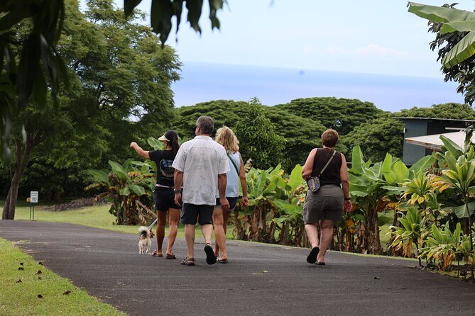 Kona Coffee Farm Tour from Tree to Tasting Room - Roasting Room and Tasting: Fresh 100% Kona Coffee, Not Old Stock