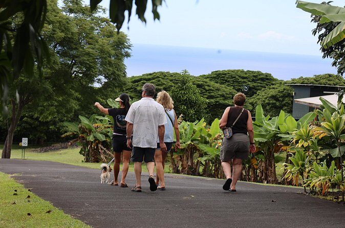 Kona Coffee Farm Tour from Tree to Tasting Room - Gift Shop Stop: More Than Souvenirs
