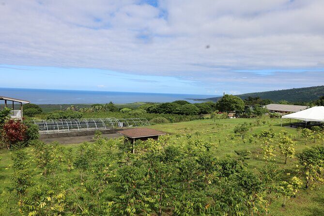 Kona Coffee Farm Tour from Tree to Tasting Room - Beyond Coffee Rows: Fruits and Plants That Share the Ground