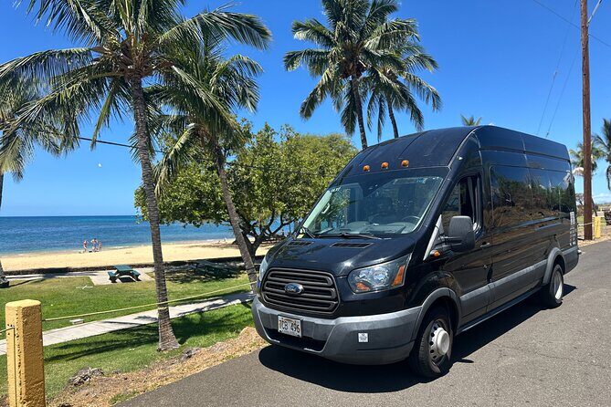 Kona Cruise Ship Excursion Hapuna Beach Day & NHS - Pu‘ukoholā Heiau: the brief cultural stop that adds weight to the beach day