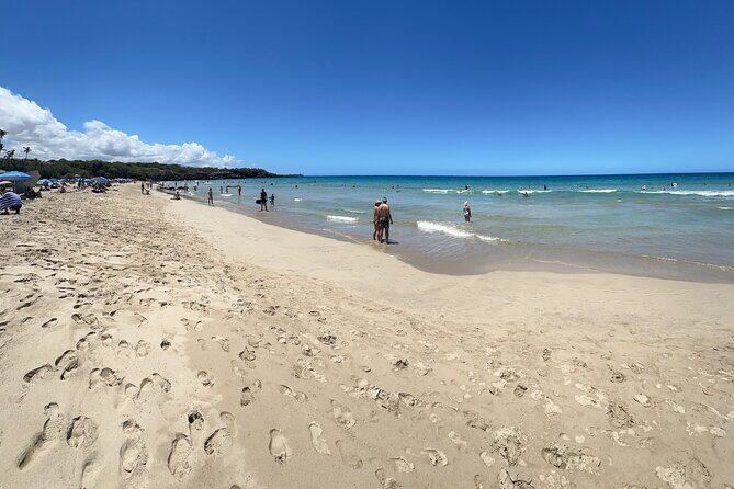 Kona Cruise Ship Excursion Hapuna Beach Day & NHS - Macadamia tastings at Hāmākua: a short break that doesn’t feel like a detour