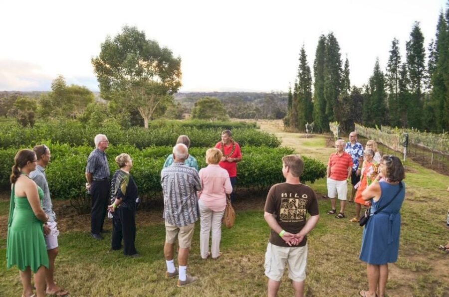 Kona: Hawaii Volcanoes National Park Tour - Kona to Kilauea: how the 12-hour day stays organized