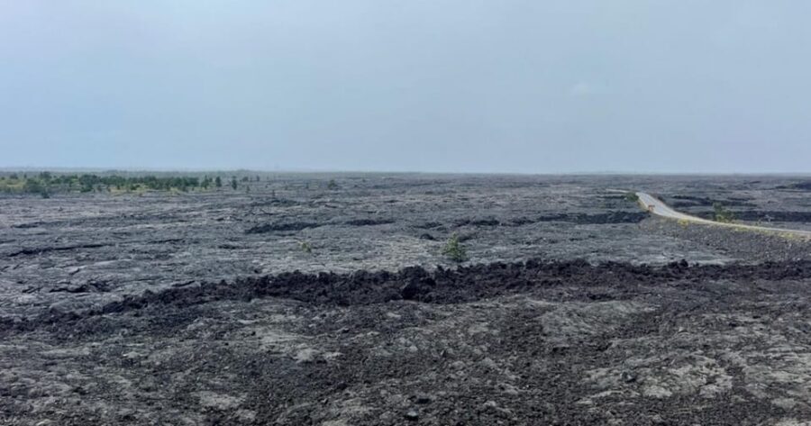 Kona: Kilauea Summit to Shore - Saddle Road back to Kona: cloud forests, elevation, and microclimates