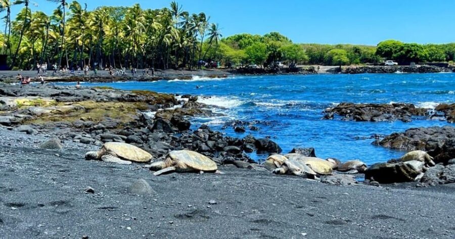 Kona: Kilauea Summit to Shore - What to bring and how to time your expectations