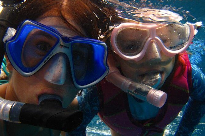 Kona Luxury Catamaran Yacht Snorkel & Sail - Wildlife Chances: Turtles, Dolphins, and the Whale Bonus