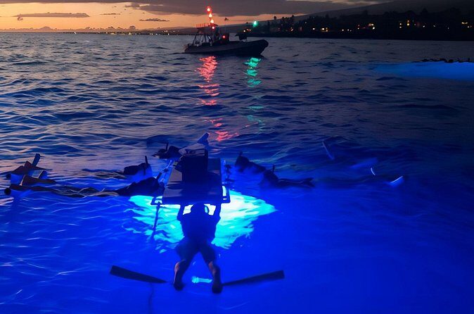 Kona Manta Night Snorkel: Swim with Mantas, Small Group (6 max) - Duration and Timing: Why 1 Hour Works