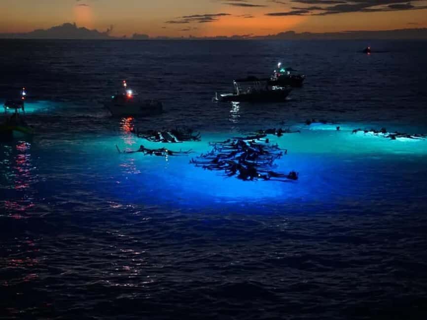 Kona: Manta Ray Night Snorkel Adventure - The 2-hour schedule: safety talk, short cruise, then snorkel time