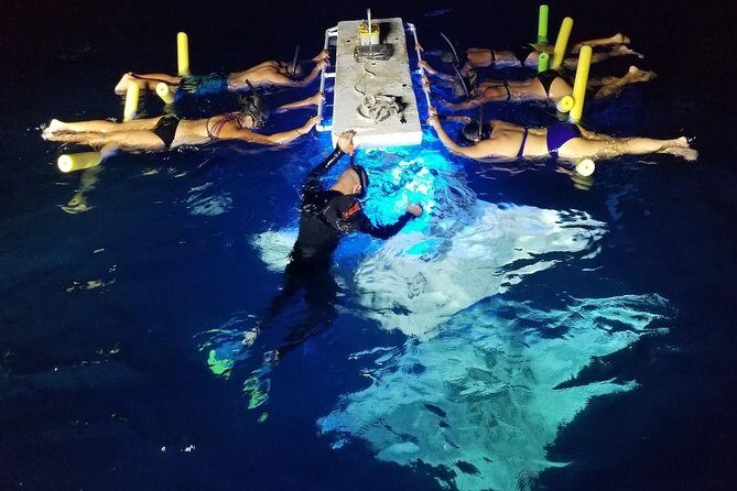 KONA Manta Ray Night Snorkel - FREE re-ride if no Sightings - The Real Flow: A 50-Minute Boat-to-Water Rhythm