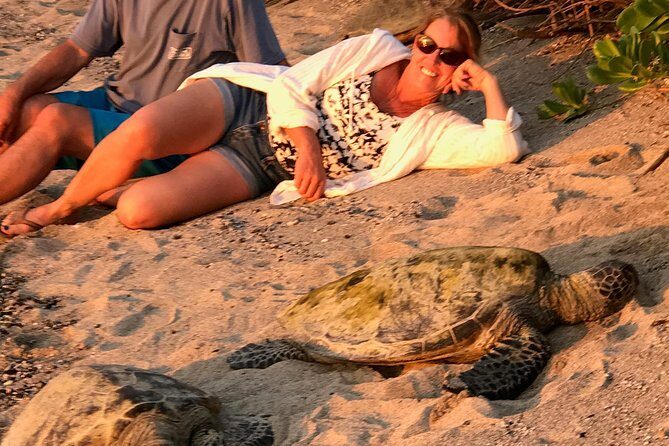 Kona Shore Excursion: Sea Turtles, Historic Kona & Coffee - Honaunau poke lunch: local food break that keeps the pace sane
