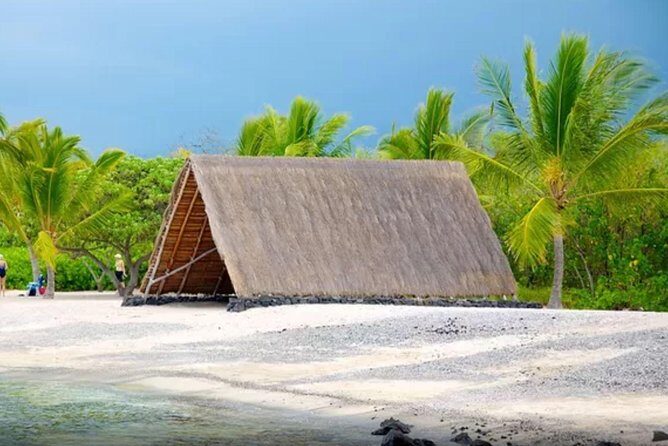 Kona Shore Excursion: Sea Turtles, Historic Kona & Coffee - Honokohau Turtle Trail: the best chance to spot Hawaiian green sea turtles