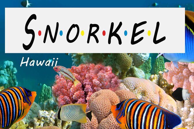 Kona Shore Excursion: Wild Dolphin Reefs Snorkel and Sea Caves - Kealakekua Bay Near Captain Cook: Why This Snorkel Spot Works