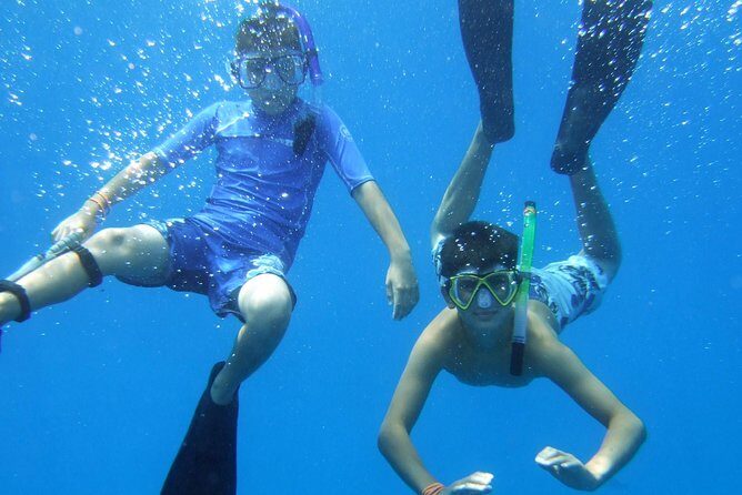 Kona Shore Excursion: Wild Dolphin Reefs Snorkel and Sea Caves - Price and Value: Is $149 Worth It for a 3-Hour Kona Stop?