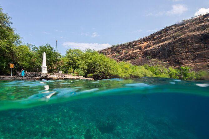 Kona Shore Excursion: Wild Dolphin Reefs Snorkel and Sea Caves - Kealakekua Bay Snorkel Hour: What You’ll Do in the Water