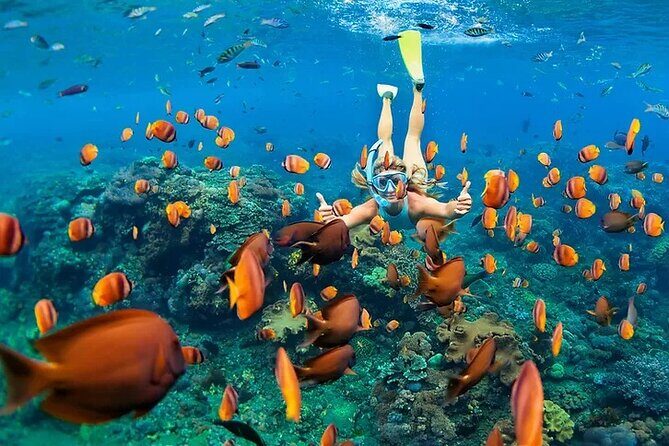 Kona Snorkel Tour: Captain Cook Reef Snorkel, Dolphin & Sea Caves - The Zodiac Ride: Sea Caves, Lava-Tube Country, and Shoreline Stops