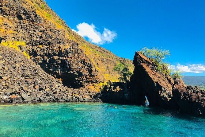 Kona Snorkel Tour: Captain Cook Reef Snorkel, Dolphin & Sea Caves - Wildlife and Dolphin Expectations: What’s Possible, What Isn’t Promised