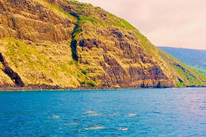 Kona Snorkel Tour: Captain Cook Reef Snorkel, Dolphin & Sea Caves - Price and Value: Is $71.10 Worth It?