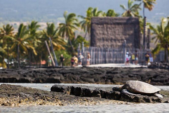 Kona Tour: Bee Farm, Kona Coffee, and National Historical Parks - Kealakekua Bay: a short scenic stop with big story weight