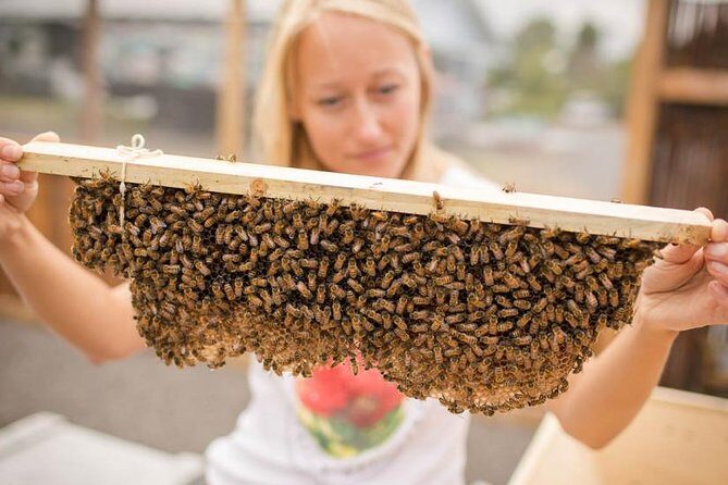 Kona Tour: Bee Farm, Kona Coffee, and National Historical Parks - Puuhonua o Honaunau: the city of refuge walk you can actually picture