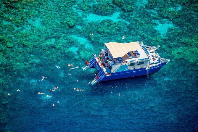 Kona’s Best Morning Snorkel: Captain Cook & Kealakekua Bay - The real draw: Kealakekua Bay Marine Preserve in the morning