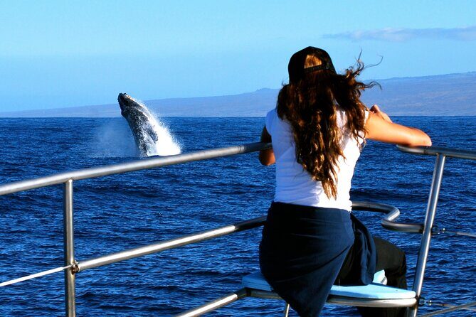 Late Morning Whale Watch Cruise on Seasmoke - Getting out to the Kohala Coast from Waikoloa Village