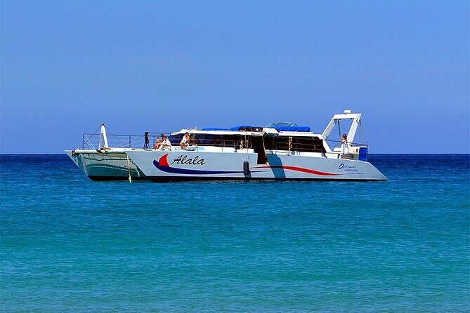 Late-Morning Whale Watch on our Power Catamaran - The return-for-free guarantee, and the reality of wild whales