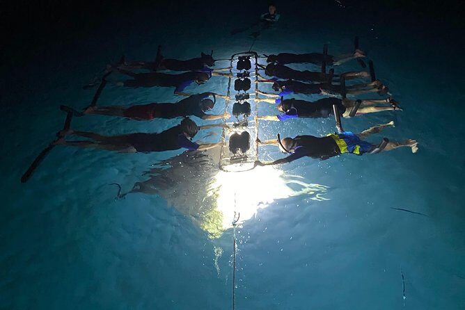 Late Night Manta Snorkel - The 50-ft catamaran ride: comfort before the ocean