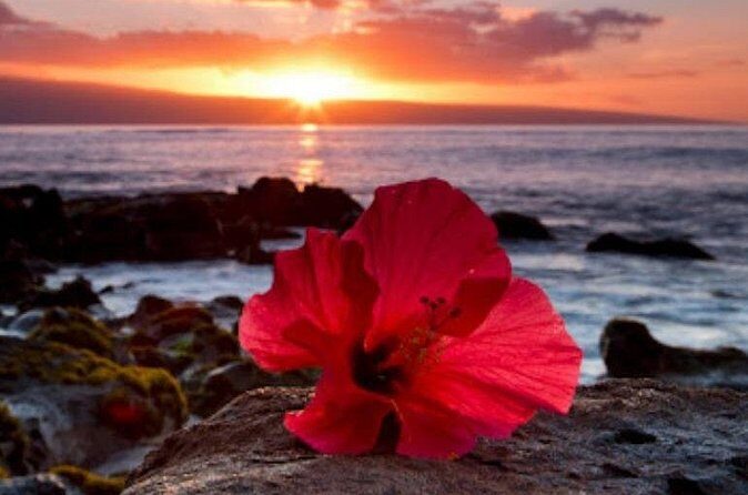 Luxury Airport Transfer in Hawaii - Plan It Smoothly: The Small Steps That Prevent Big Stress