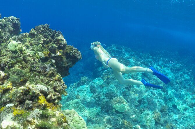 Luxury Kona Coast Snorkel Tour Including Lunch - Lunch on the water: plant-based food done like it’s part of the trip